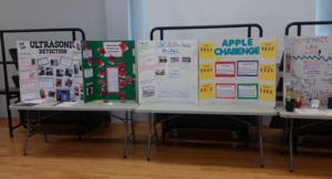 Learning Fair project boards
